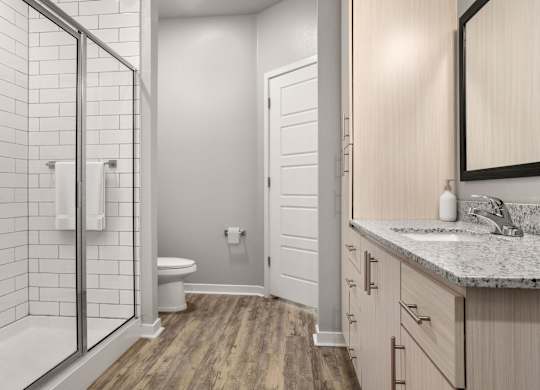 A bathroom with a walk-in shower, toilet, and sink.
