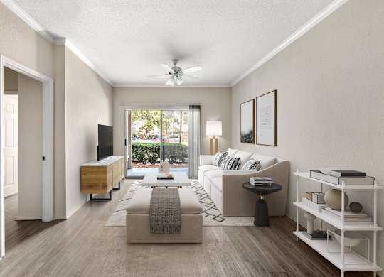 A living room with a couch, a coffee table, and a television.