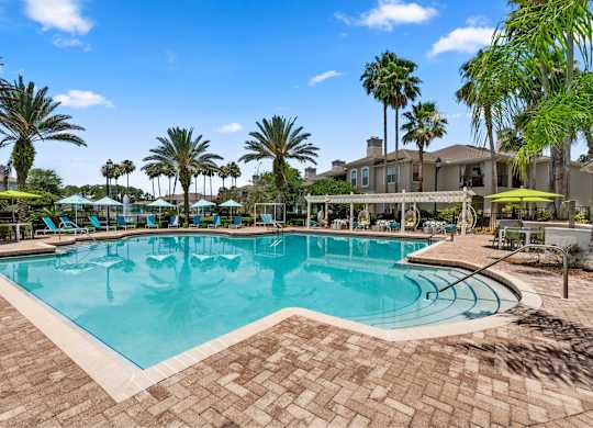 A large swimming pool surrounded by palm trees and lounge chairs.