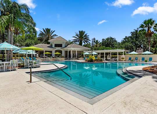 A large swimming pool surrounded by palm trees and lounge chairs.