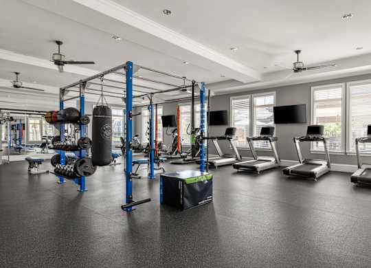 A gym with a variety of equipment including treadmills, weights, and a boxing ring.