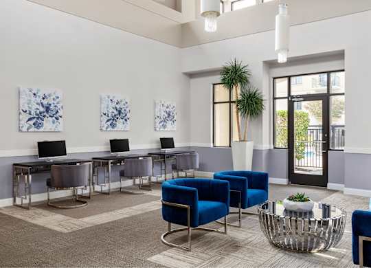 A room with blue chairs and a plant in it.