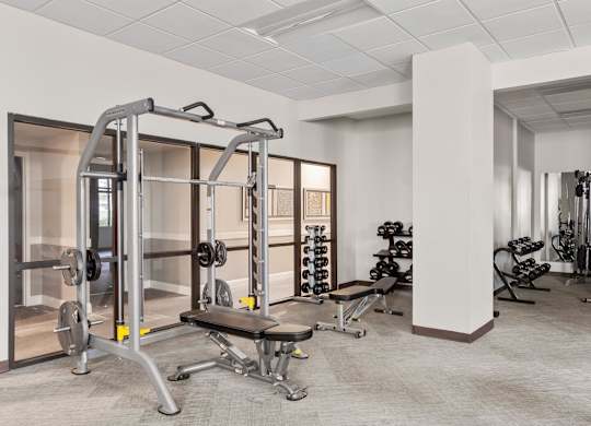 A gym with a variety of equipment including a squat rack, bench, and weights.
