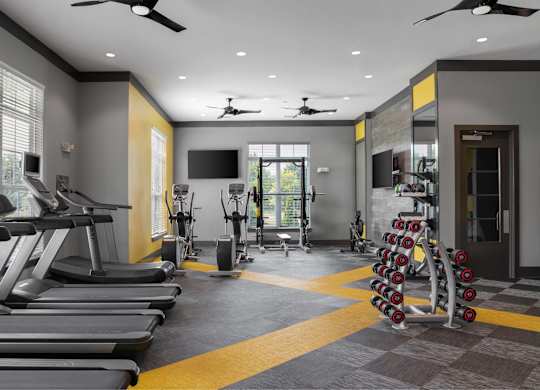 A gym with treadmills, weights, and exercise equipment.