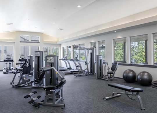 A gym with a variety of equipment including weights and cardio machines.