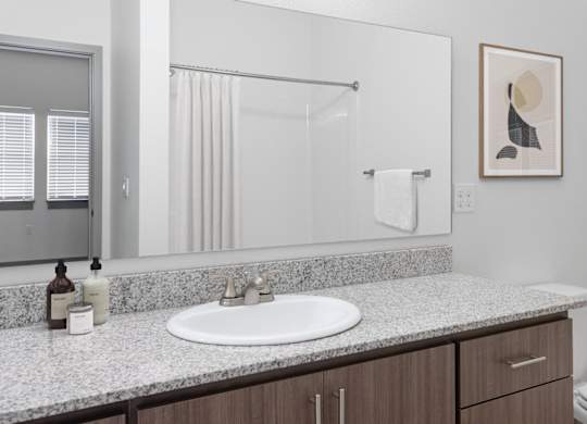 A bathroom with a white sink and a mirror above it.