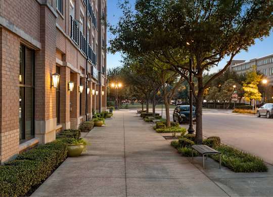 A tree-lined sidewalk in front of a building with cars parked on the street.