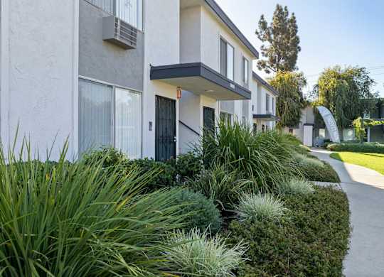 A modern building with a black door and windows surrounded by greenery.