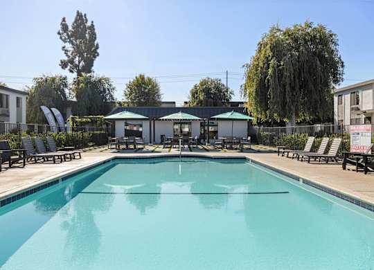 A large swimming pool surrounded by lounge chairs and trees.
