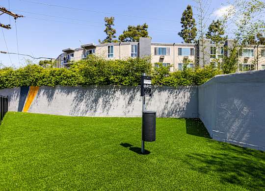 A small backyard with a green lawn and a wall with a yellow stripe.