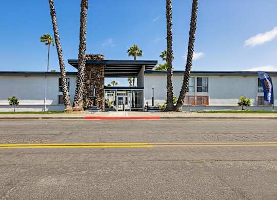 A building with a palm tree in front of it.