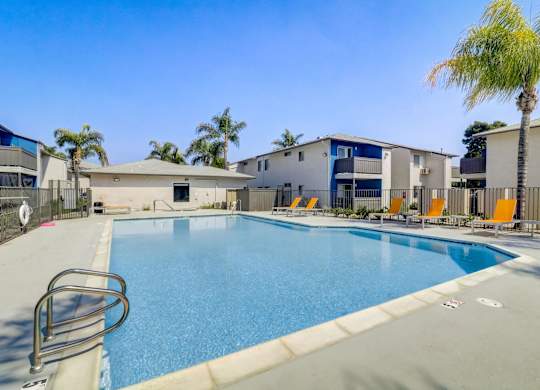 A swimming pool surrounded by palm trees and sun loungers.