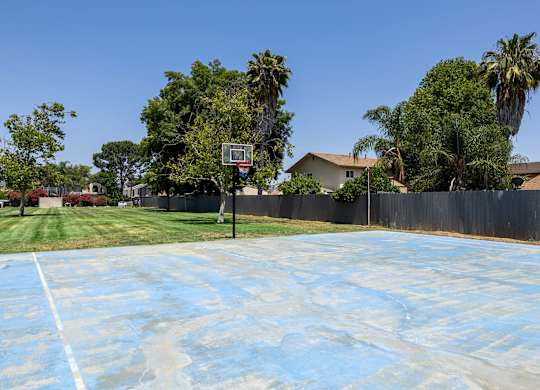 A basketball court with a hoop and a wall in the background.