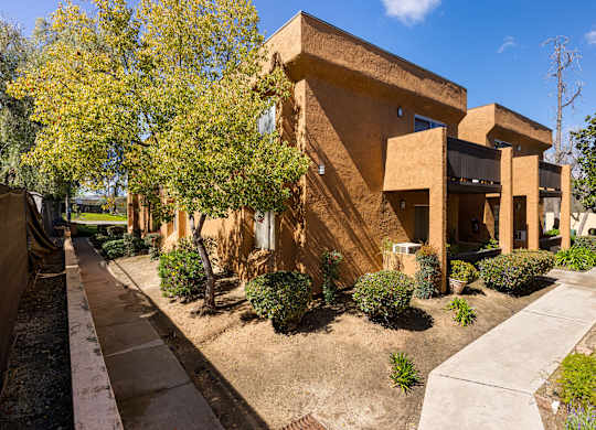 A modern house with a curved wall and a tree in front.