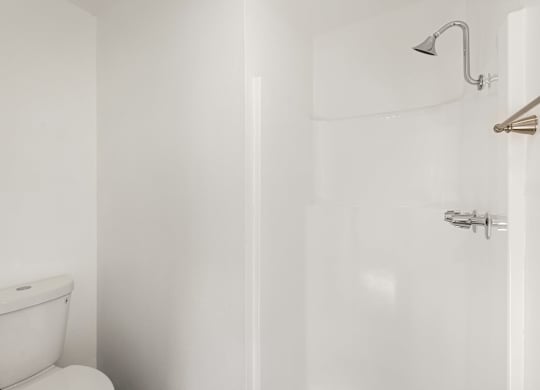 A white toilet is next to a white shower in a bathroom.