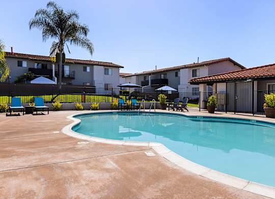 A pool surrounded by a black fence and palm trees.