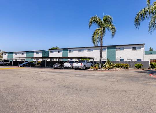 A parking lot with a building and palm trees in the background.