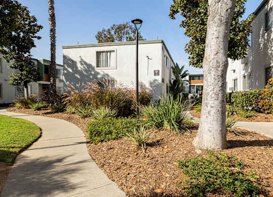 A tree in a landscaped area in front of a building.