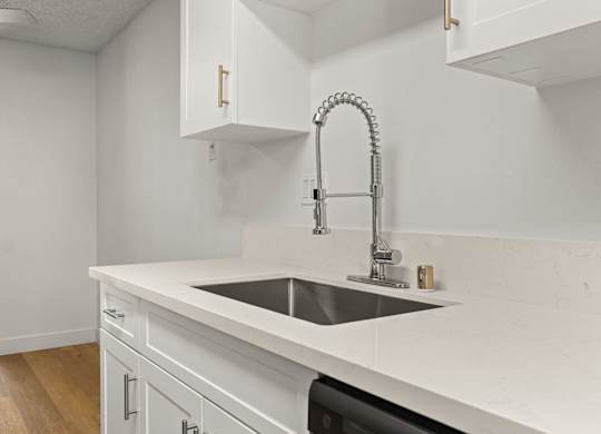 A kitchen with a sink and a faucet.