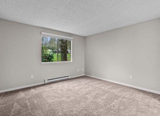 A room with a window and a carpeted floor.