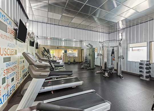 A gym with treadmills, weights and exercise equipment.