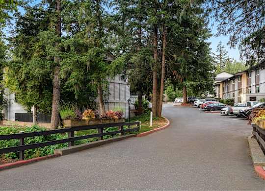 A tree-lined street with a bench and a fence.