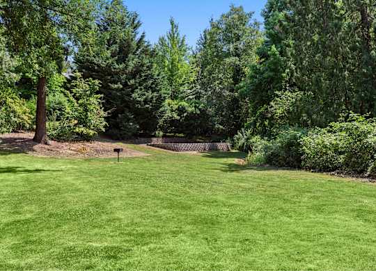 A lush green lawn surrounded by trees.