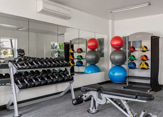 A gym with a mirror, weights, and exercise balls.