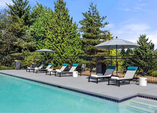 A pool surrounded by trees and chairs under an umbrella.