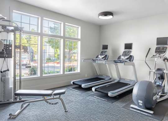 A gym with treadmills, elliptical machines, and a weight bench.