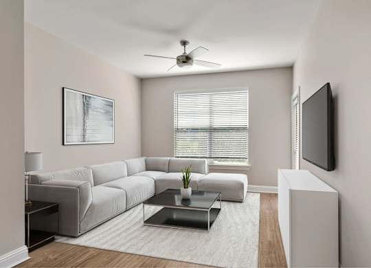 A living area with a couch and a rug.