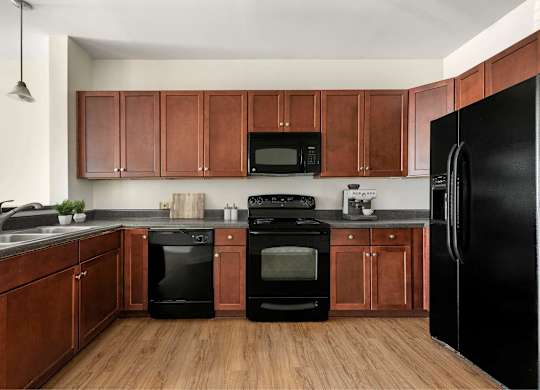A kitchen with black appliances and wooden cabinets.