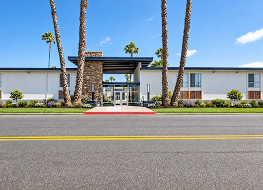 A building with a palm tree in front of it.