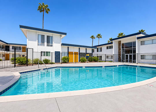 A swimming pool in front of a building with a palm tree.