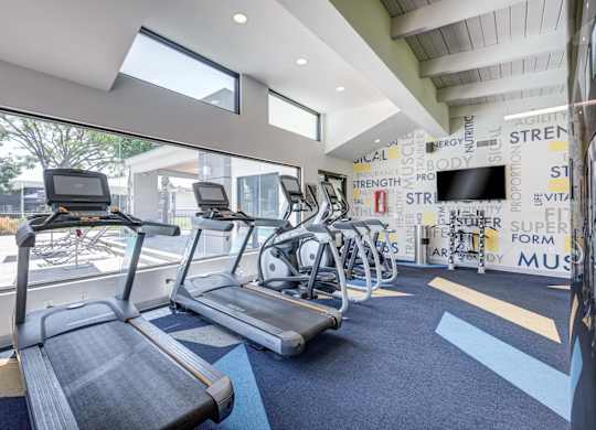 A gym with treadmills and exercise bikes.
