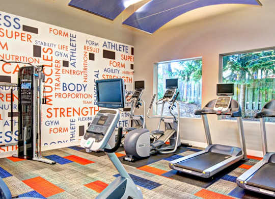 A gym with a variety of equipment including treadmills, stationary bikes, and weight machines.