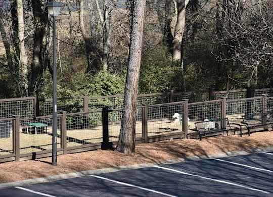 Dog Park at Breckinridge Vue, Duluth, GA