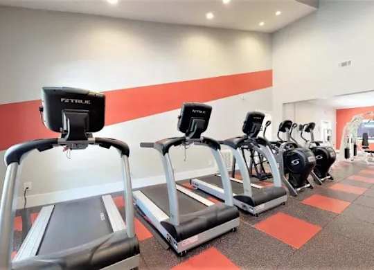 Cardio Machines at Cumberland Pointe, Georgia