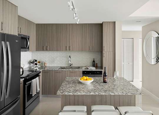 A modern kitchen with a granite countertop and stainless steel appliances. at Palma, Doral, FL, 33166