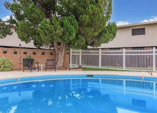 A tree stands next to a pool in a fenced area.