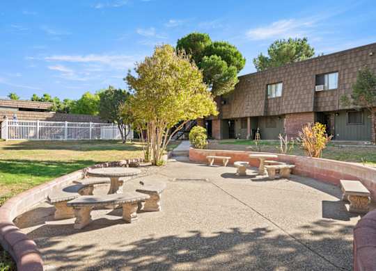 A courtyard with a tree, benches, and a building in the background.