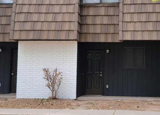 A white brick wall with a black door and a small plant in front.