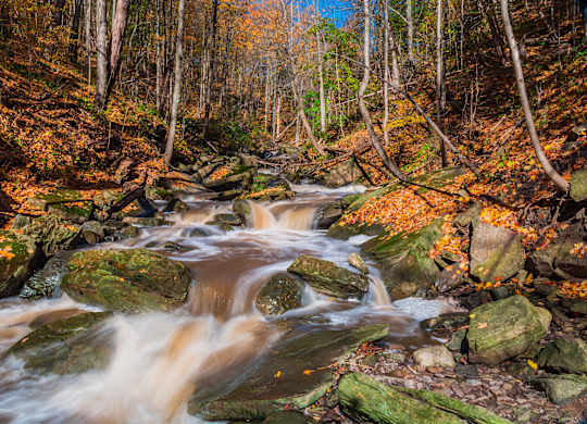 A stream flows through a forest with rocks and fallen leaves. at The Grindstone  Apartments, Waterdown, ON