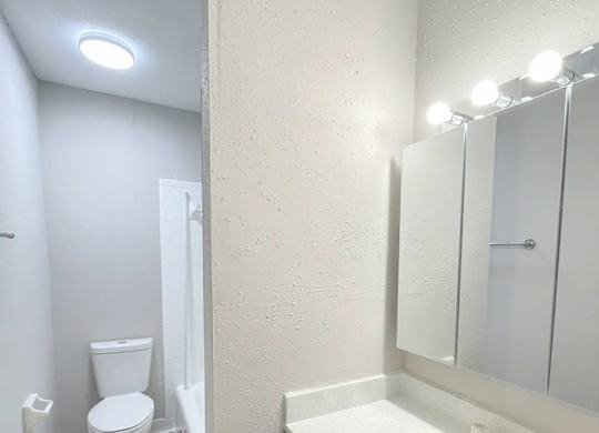 A bathroom with a toilet, sink and mirror.