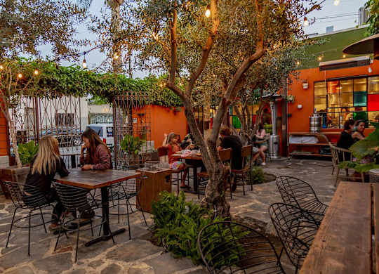 A group of people are sitting at a table under a tree in a courtyard.
