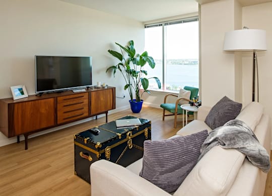 A living room with a white couch, a wooden cabinet, a flat screen TV, a potted plant, and a floor lamp.