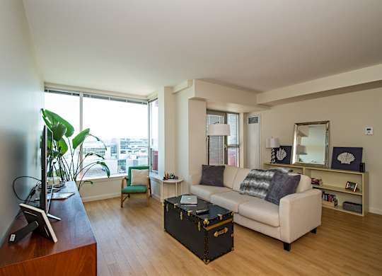 A living room with a couch, a coffee table, and a television.