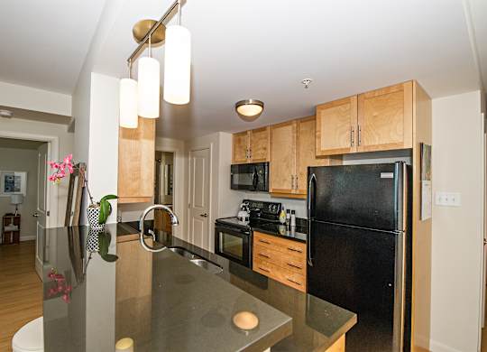 A kitchen with a black refrigerator and wooden cabinets.