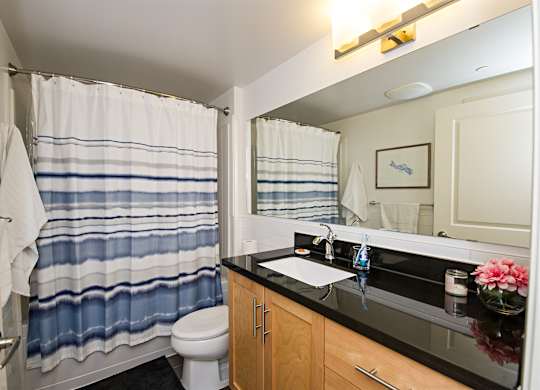 A bathroom with a toilet, sink, and shower curtain.