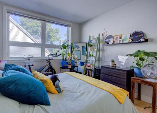 A bedroom with a bed, a bicycle, a fan, and a window with blinds.